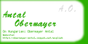 antal obermayer business card